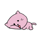 gasorn cat（個別スタンプ：16）