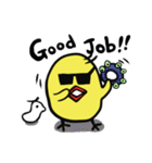sunglasses chick（個別スタンプ：11）