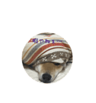 柴犬との君の関西弁 No.1（個別スタンプ：30）