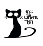 Browney black cat（個別スタンプ：1）