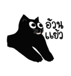 Browney black cat（個別スタンプ：5）