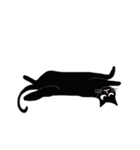 Browney black cat（個別スタンプ：6）