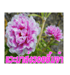 There is encouragement to everyone V.3（個別スタンプ：3）