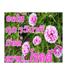 There is encouragement to everyone V.3（個別スタンプ：4）