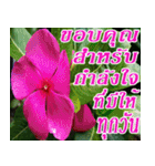 There is encouragement to everyone V.3（個別スタンプ：10）