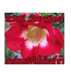 There is encouragement to everyone V.3（個別スタンプ：11）