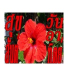 There is encouragement to everyone V.3（個別スタンプ：12）