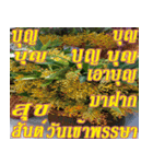 There is encouragement to everyone V.3（個別スタンプ：23）