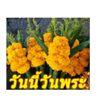 There is encouragement to everyone V.3（個別スタンプ：24）