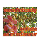 There is encouragement to everyone V.3（個別スタンプ：26）