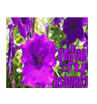 There is encouragement to everyone V.3（個別スタンプ：30）