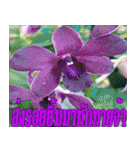 There is encouragement to everyone V.3（個別スタンプ：31）