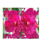 There is encouragement to everyone V.3（個別スタンプ：33）