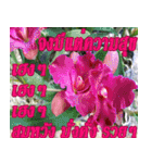 There is encouragement to everyone V.3（個別スタンプ：34）