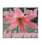 There is encouragement to everyone V.3（個別スタンプ：36）