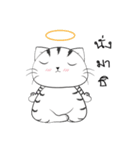 I'm Cats（個別スタンプ：6）