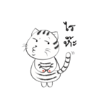 I'm Cats（個別スタンプ：8）