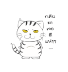 I'm Cats（個別スタンプ：11）