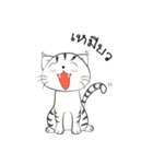 I'm Cats（個別スタンプ：12）