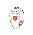 I'm Cats（個別スタンプ：17）