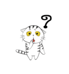 I'm Cats（個別スタンプ：21）