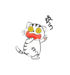 I'm Cats（個別スタンプ：24）