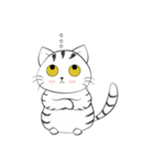 I'm Cats（個別スタンプ：25）