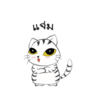 I'm Cats（個別スタンプ：26）