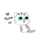 I'm Cats（個別スタンプ：27）