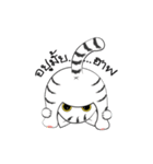 I'm Cats（個別スタンプ：31）