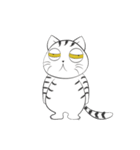 I'm Cats（個別スタンプ：36）