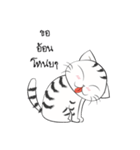 I'm Cats（個別スタンプ：38）
