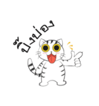 I'm Cats（個別スタンプ：40）