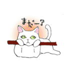 アフレコネコ（個別スタンプ：2）