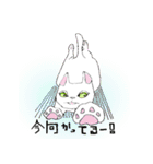 アフレコネコ（個別スタンプ：8）