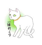 アフレコネコ（個別スタンプ：9）