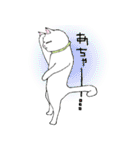 アフレコネコ（個別スタンプ：24）