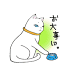 アフレコネコ（個別スタンプ：30）