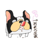 ブル・ボックス（個別スタンプ：24）