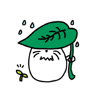 Maple syrup（個別スタンプ：31）
