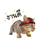 Ricky Family（個別スタンプ：4）