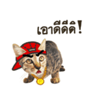 Ricky Family（個別スタンプ：6）