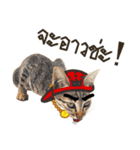 Ricky Family（個別スタンプ：9）