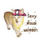 Ricky Family（個別スタンプ：11）