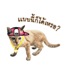 Ricky Family（個別スタンプ：15）