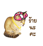 Ricky Family（個別スタンプ：16）