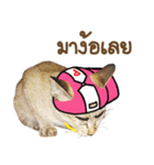 Ricky Family（個別スタンプ：22）