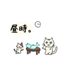 雑ネコぽんとめけのお気持ちスタンプ（個別スタンプ：13）
