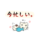 雑ネコぽんとめけのお気持ちスタンプ（個別スタンプ：32）