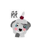 Khaiwhan a little dog（個別スタンプ：24）